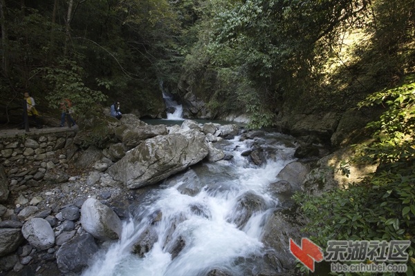 _MG_3811.jpg