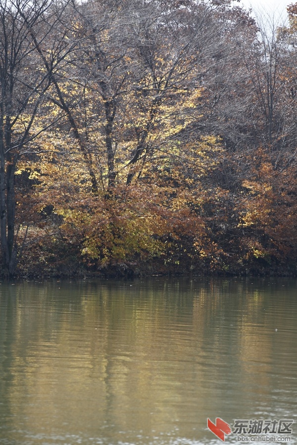 _MG_3875.jpg