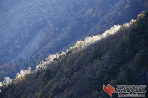 _MG_3963.jpg
