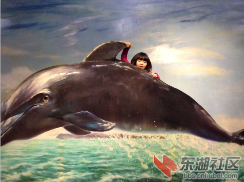 海豚.png