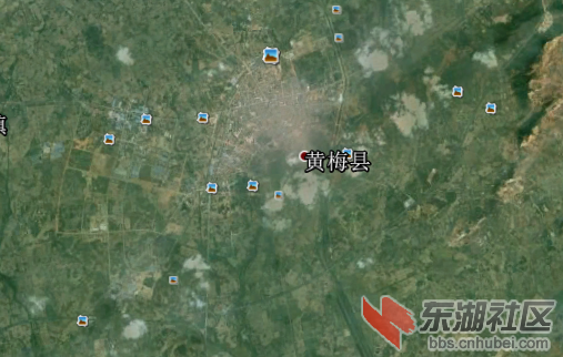 黄梅.png