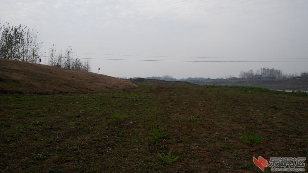 IMG_20141117_123815.jpg