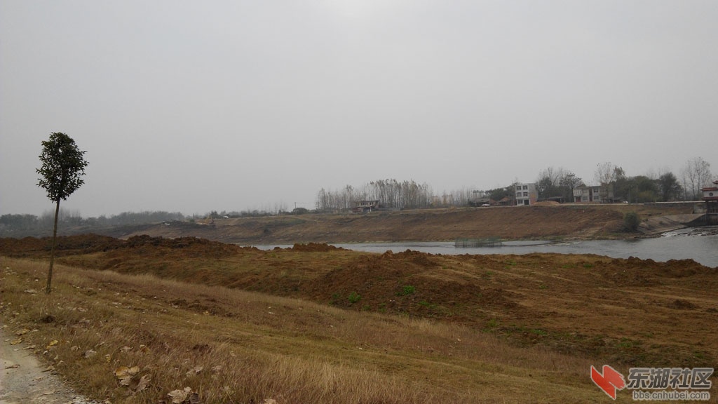 IMG_20141117_141206.jpg
