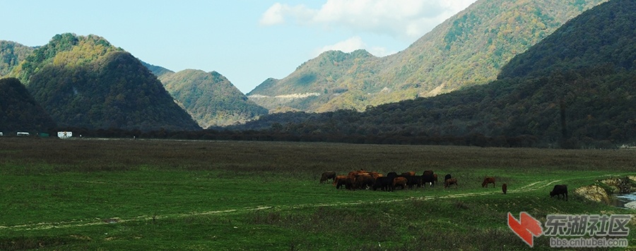 DSC_6173.jpg
