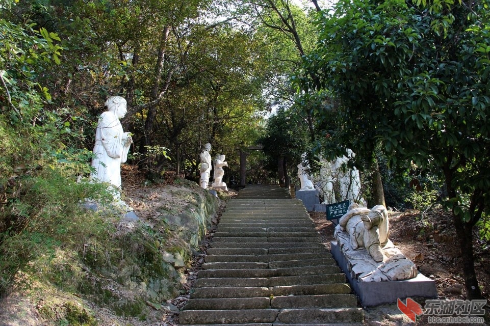 18.jpg