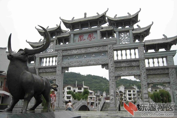 凤凰1.jpg