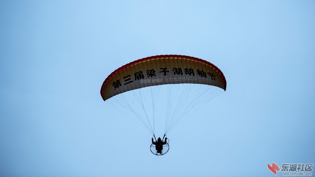 DSC_5453_副本.jpg