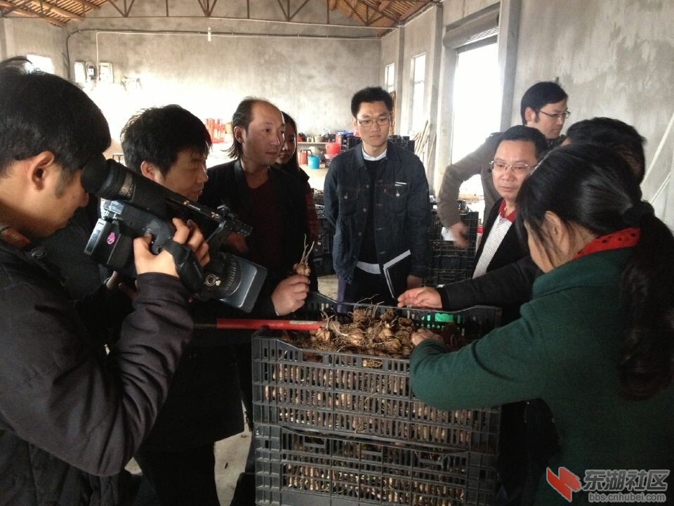 QQ图片20141123222551.jpg