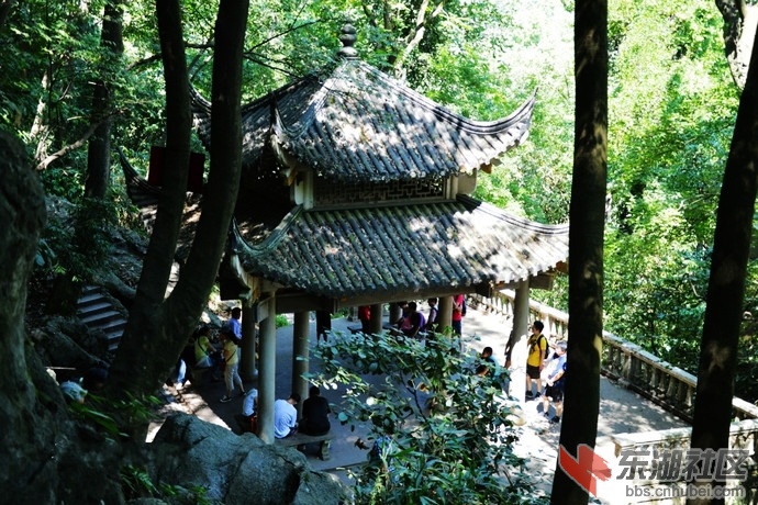 5、翠微亭3.jpg