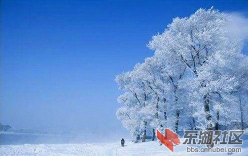 冶力关冬景如画.jpg