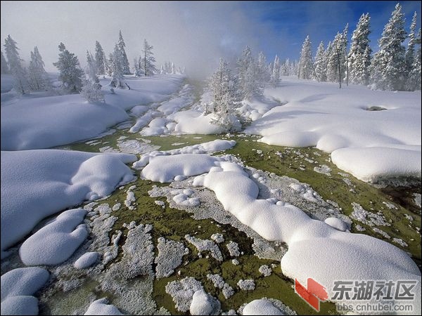 7西拇指间歇泉盆地，黄石国家公园.jpg