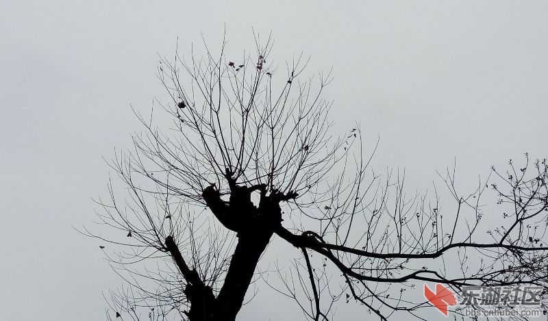IMG_20141125_142426-1.jpg