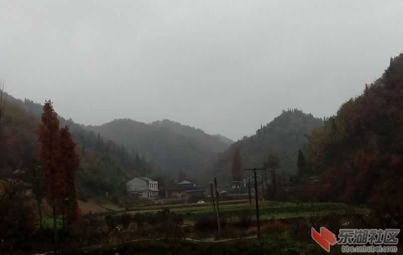 IMG_20141127_152407-1.jpg