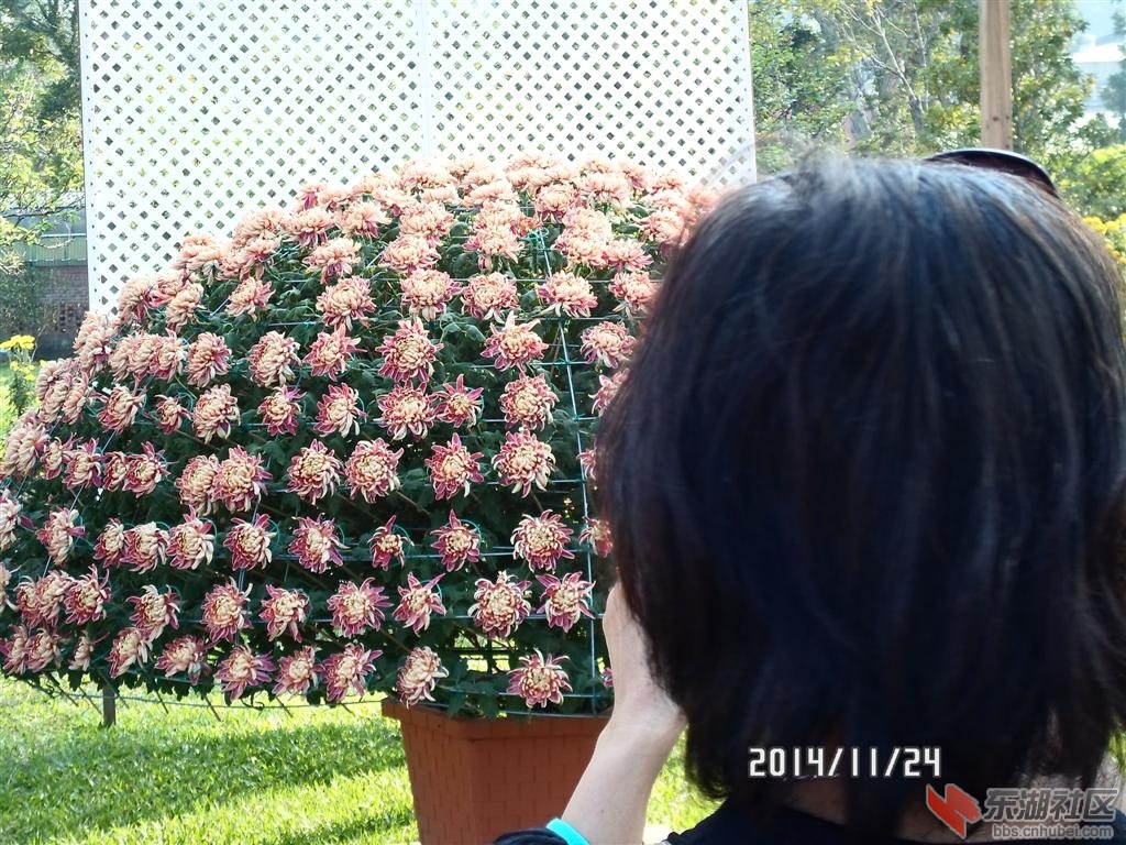 53