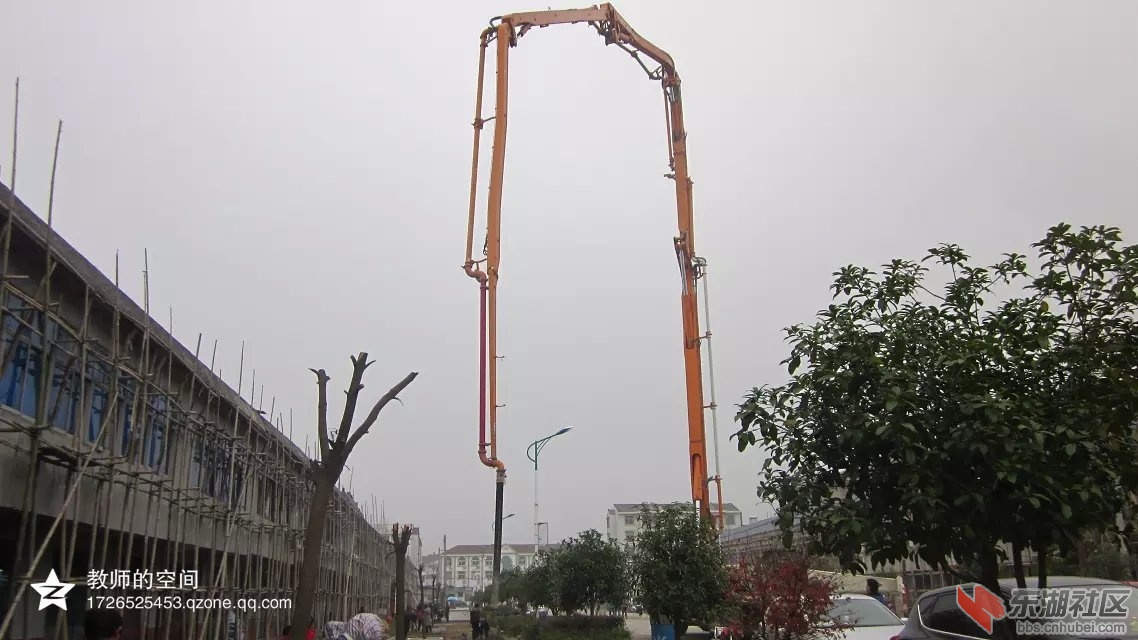 6904.jpg