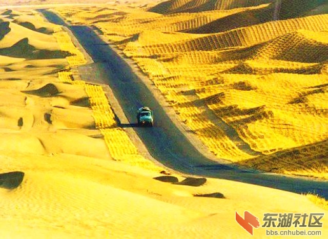 8 塔里木沙漠公路3.jpg