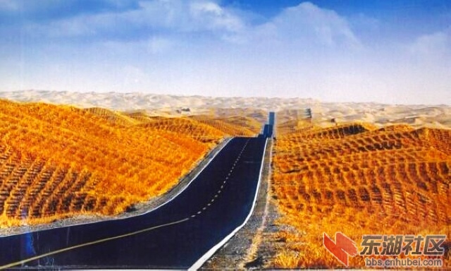 8 塔里木沙漠公路2.jpg