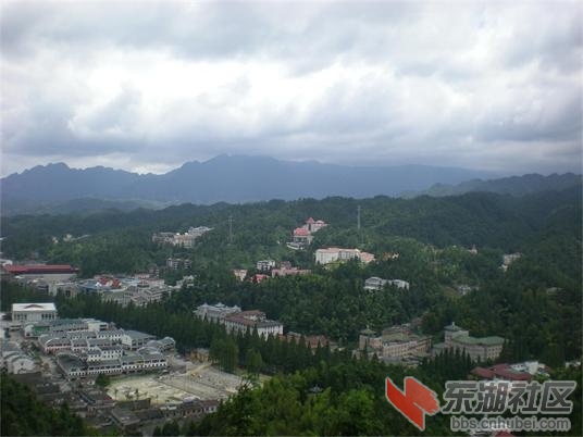 复件 照片 219.jpg