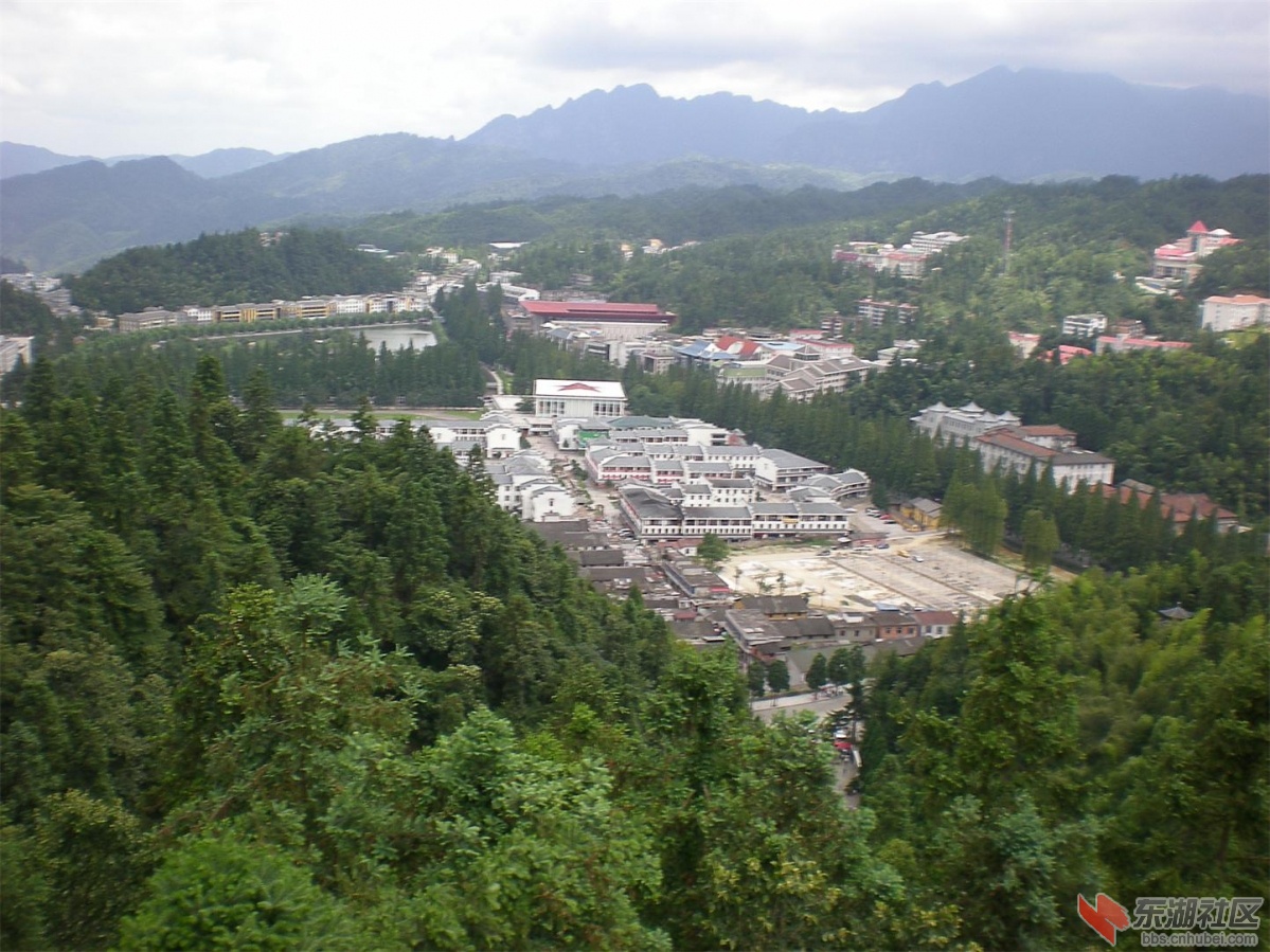复件 照片 218.jpg