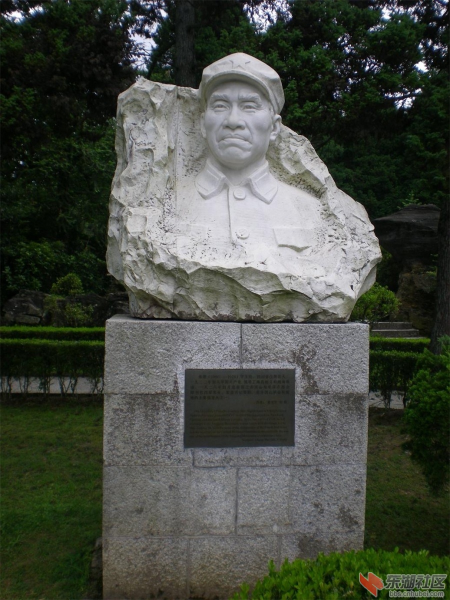 复件 照片 213.jpg