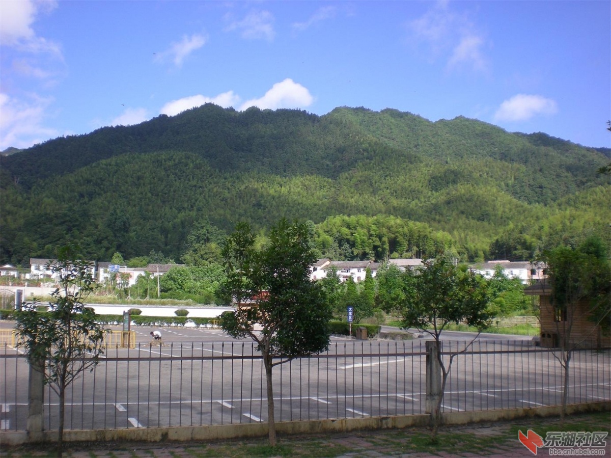 复件 照片 264.jpg