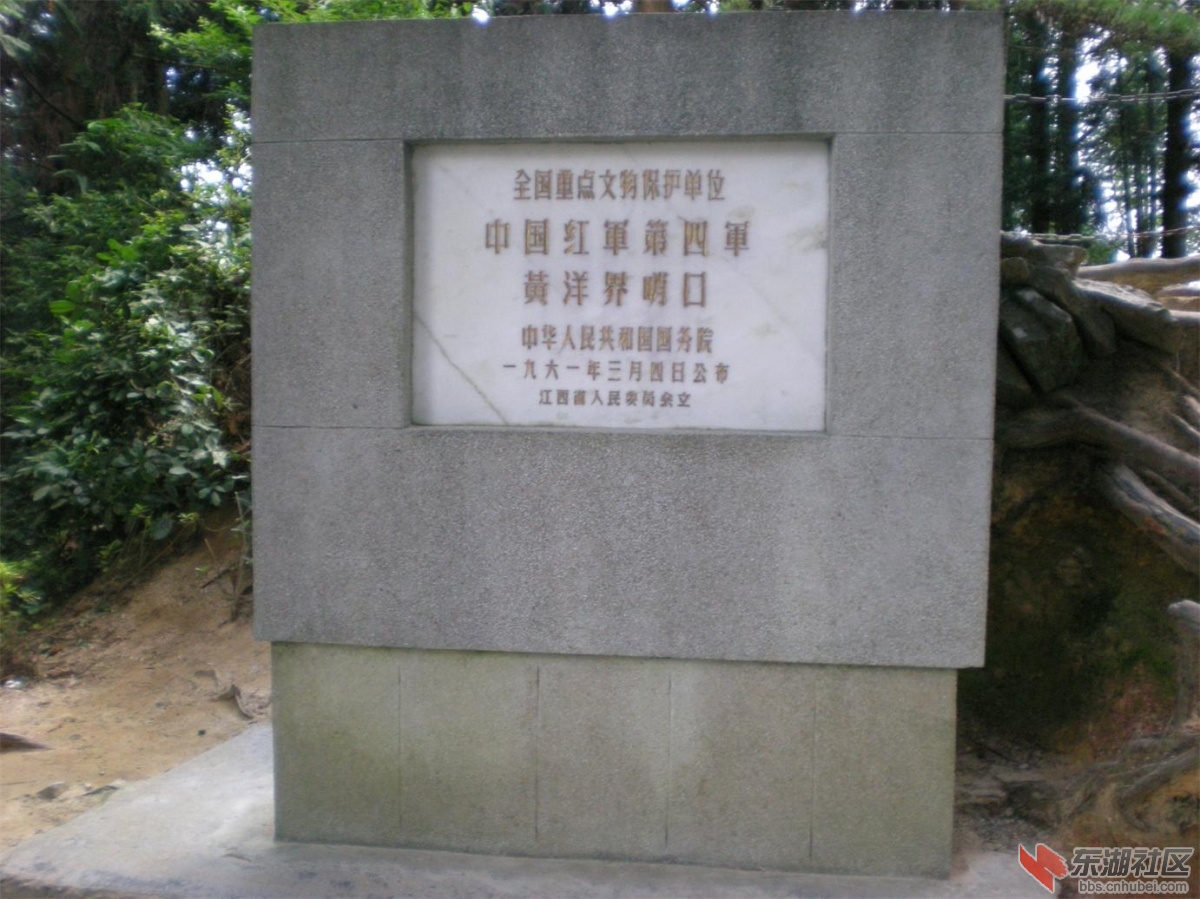 复件 照片 281.jpg