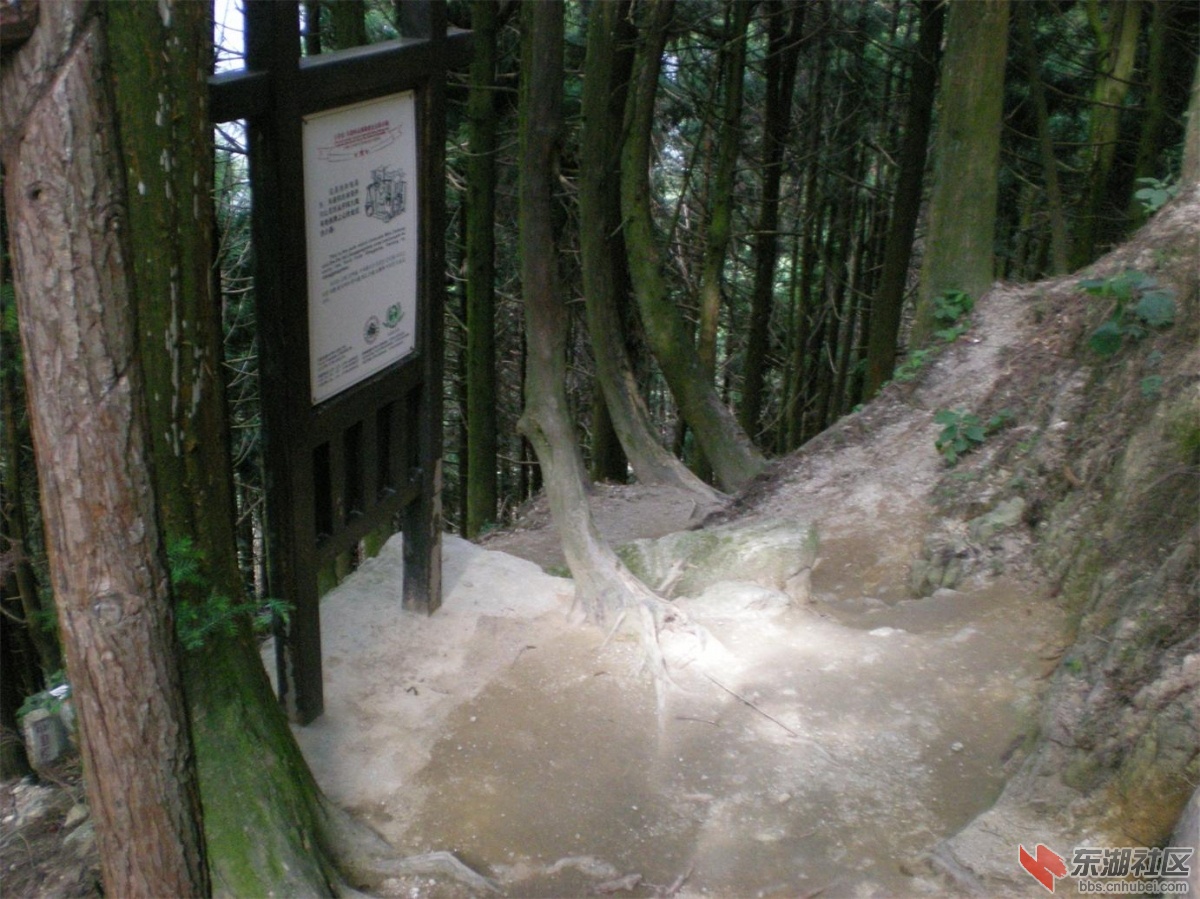 复件 照片 292.jpg