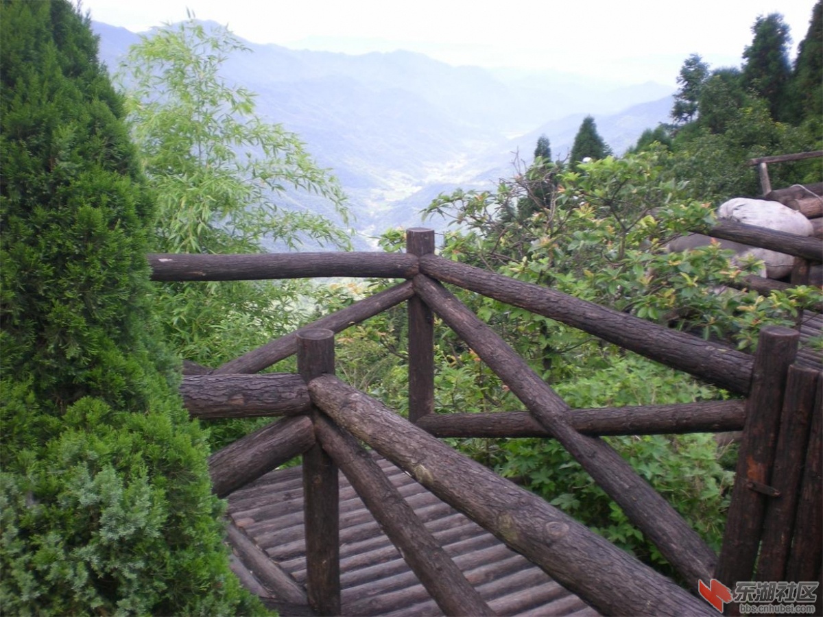复件 照片 295.jpg