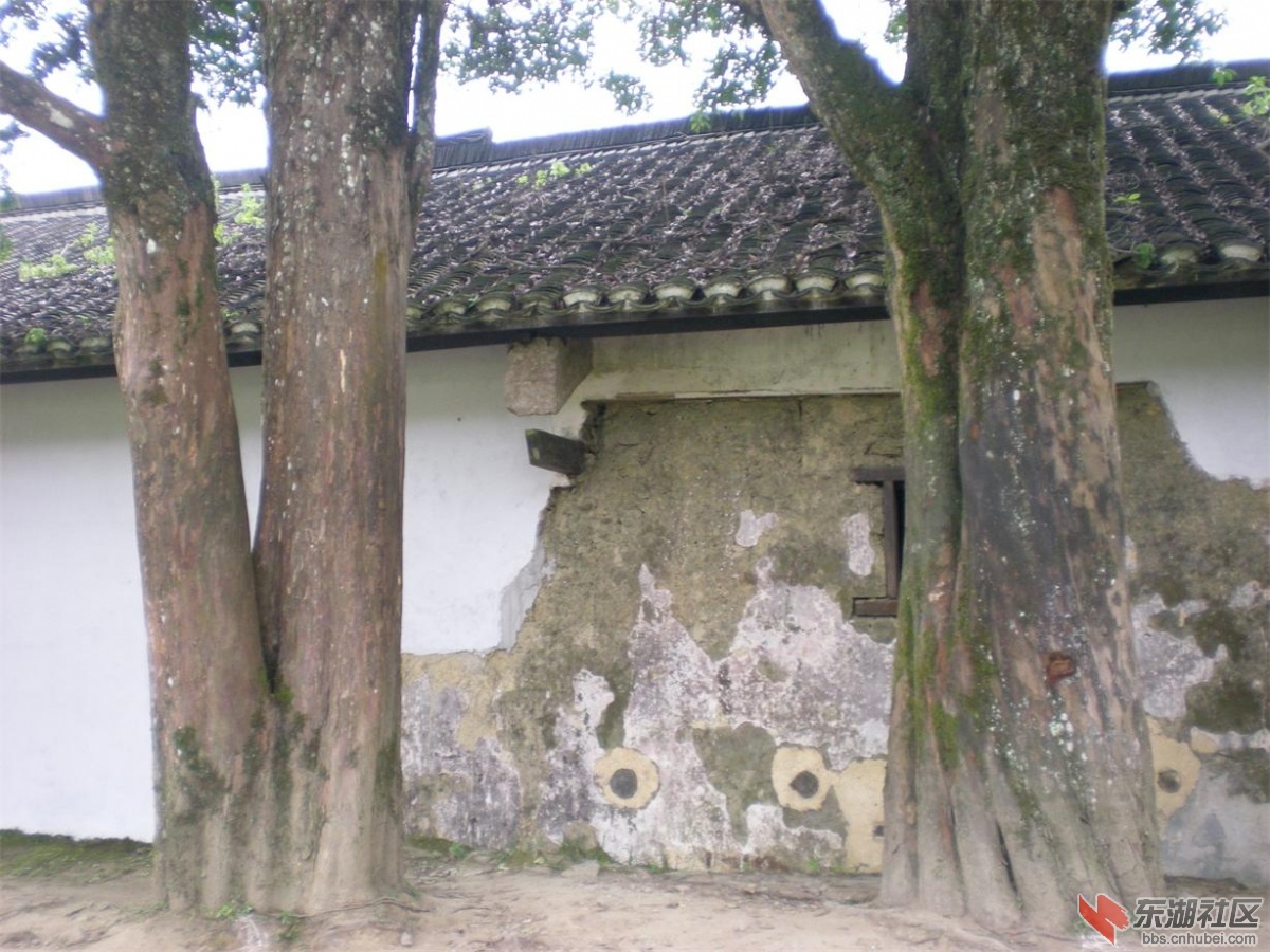 复件 照片 318.jpg