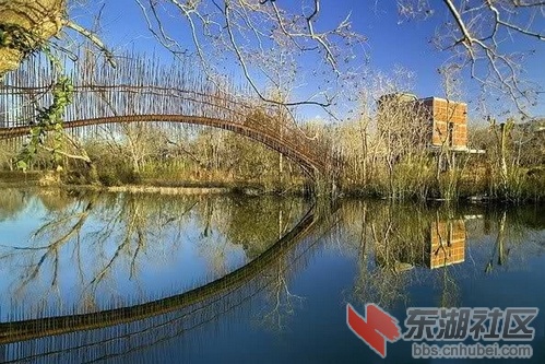 14. 美国奥斯汀步行桥2.jpg