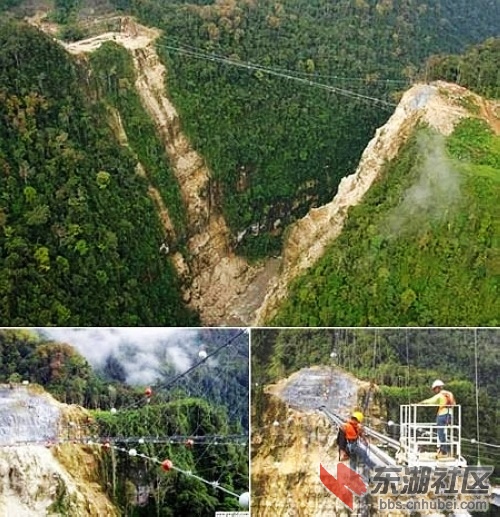 20.巴布亚新几内亚峡谷大吊桥.jpg