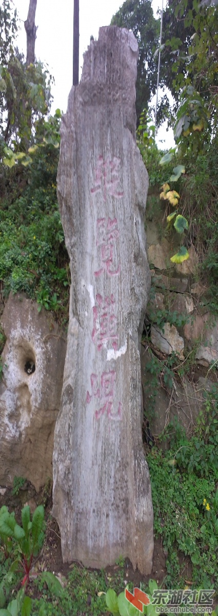 IMAG7536副本.jpg