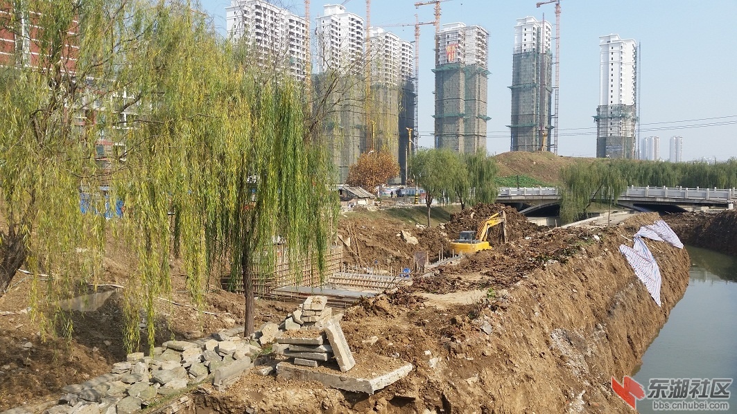 20141202_122226.jpg