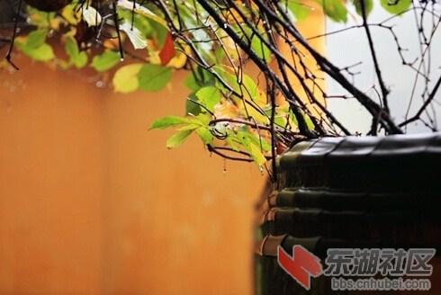 QQ截图20141202173531.jpg