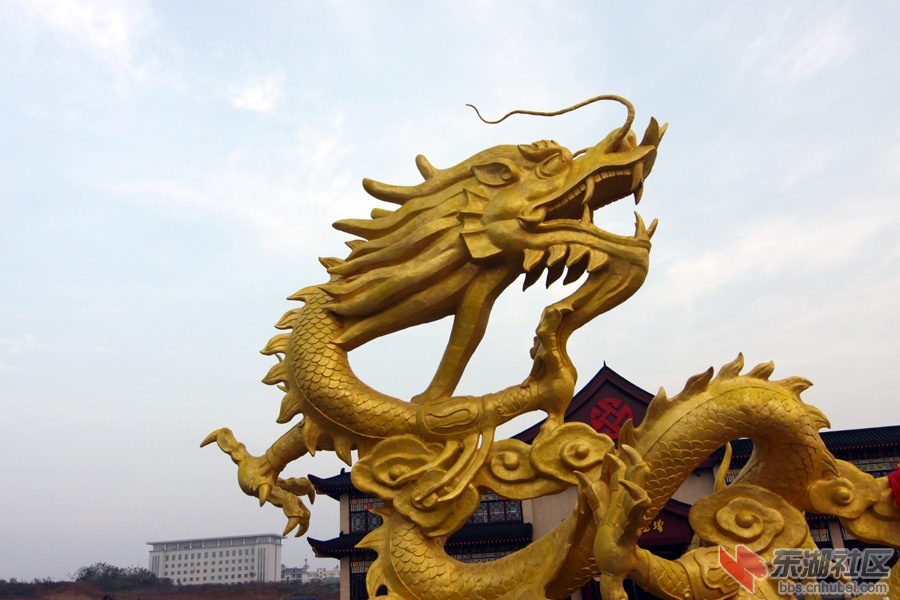 江水二五.jpg
