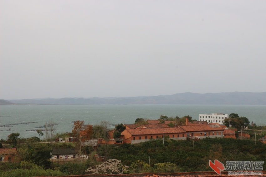 img_8559_副本.jpg