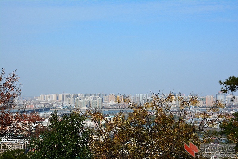 DSC_0129_.jpg