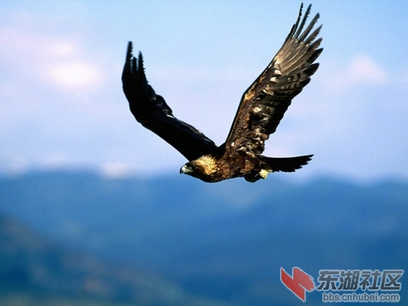 23墨西哥.jpg