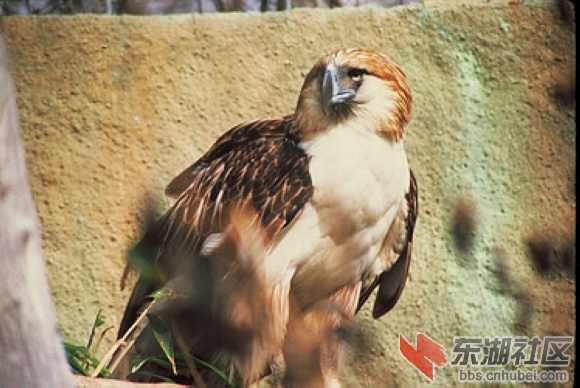 25菲律宾.jpg