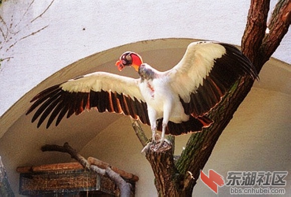 32厄瓜多尔.jpg