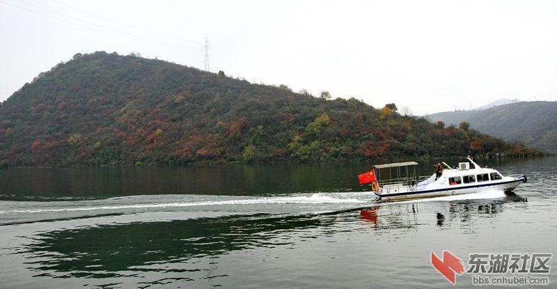 _MG_6103_1.jpg