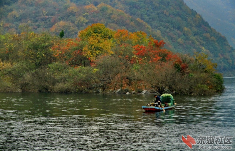 _MG_6108_1.jpg