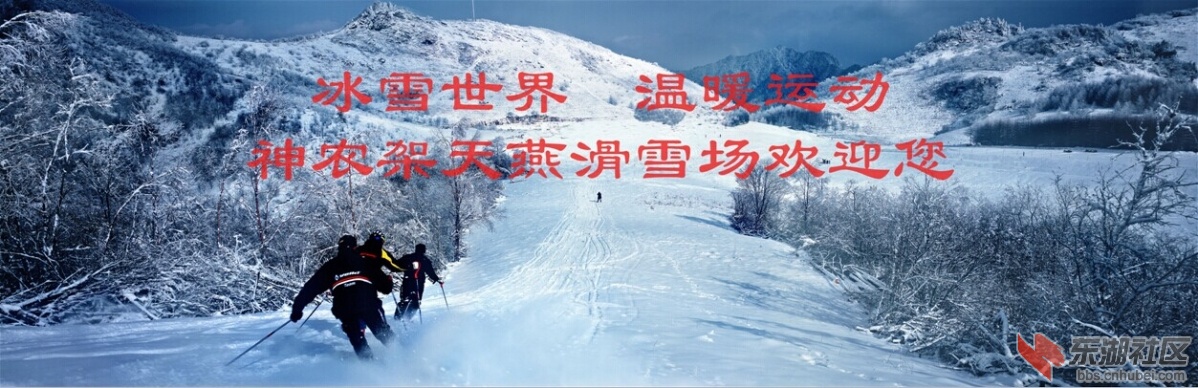 QQ图片20141203233511.jpg