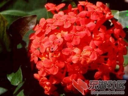 7缅甸.jpg
