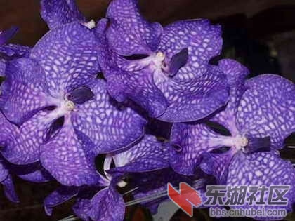 11、新加坡.jpg