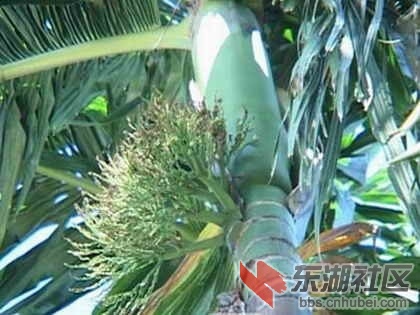 12、柬埔寨.jpg