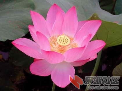 13、越南.jpg