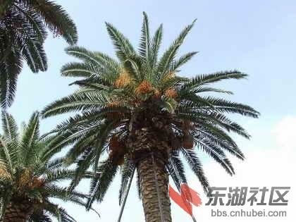 20伊朗、叙利亚2.jpg