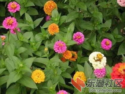 22阿拉伯联合酋长国.jpg