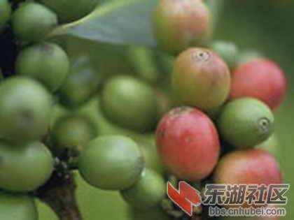 30也门.jpg